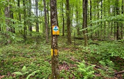 1.1 Jones Hill Rd, German, NY 13801