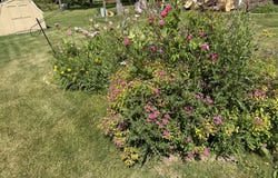204 2nd Avenue, Frederick, SD 57441