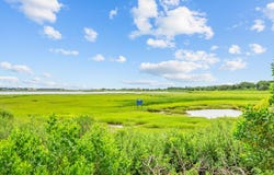 16 Gulls Cove Road, West Yarmouth, MA 02673