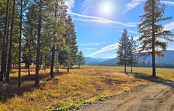19 Faro Lane, Trout Creek, MT 59874