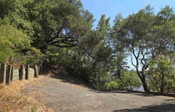 100 Black Log Rd, Kentfield, CA 94904