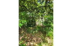 25 Liberty Street, Mayesville, SC 29104