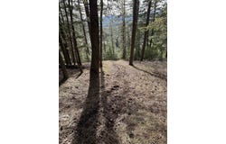 45xx 292 Hwy, Springdale, WA 99173