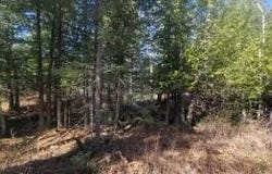 Beach Hwy, Ocqueoc, MI 49759