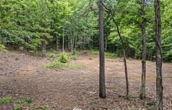 1656 Walnut Valley Road lot: 06, Dover, AR 72837