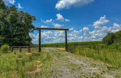 0 Alabama HWY 60, Moundville, AL 35474
