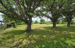 528 Oriole Drive, Clyde, TX 79510