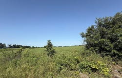 County Rd 2760, Clark, MO 65243