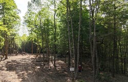 Tr A New Hope Road E, Ellijay, GA 30536