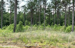 lot 16 Grant County Road 761, Sheridan, AR 72150