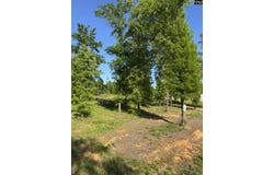 238 Navigator Trail, Prosperity, SC 29127