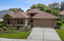 3134 BENT CREEK Drive, VALRICO, FL 33596