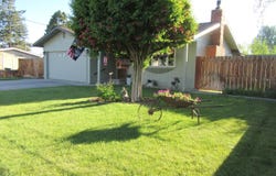 233 N Pine Street, Dorris, CA 96023