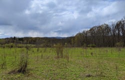 Lot #37.01 County Highway 4, Morris, NY 13808