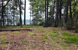 8350 AWASSA LN, St Germain, WI 54558