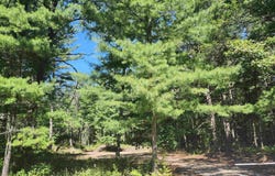 E Lincoln Street, East Tawas, MI 48763