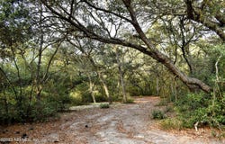 249 SIMPSON Drive, Interlachen, FL 32148