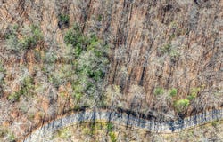 Patton Rd lot: 16, Franklin, NC 28734