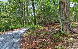 Buffalo Shoals Road, Lake Lure, NC 28746