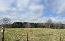 8103 County Road 455, Birch Tree, MO 65438