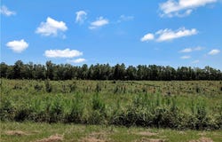 Brown Road, Iva, SC 29655