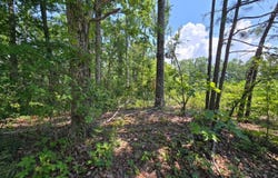 ELAM Way, Savannah, TN 38372