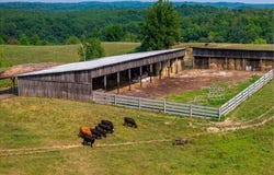 Lincoln Pike, Scottown, OH 45678