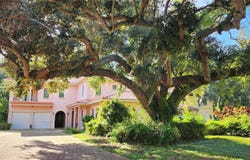 1962 FREEDOM DRIVE, CLEARWATER, FL 33755