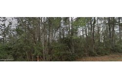 Mixon Lake Road, Lucedale, MS 39452