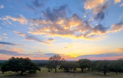 974 Blackbuck Ridge Drive, Lampasas, TX 76550