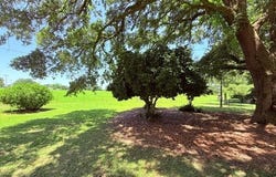 882 Ms-48, Tylertown, MS 39667