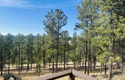 12127 Chickadee Lane, Custer, SD 57730