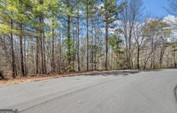 0 Golden Delicious, Clarkesville, GA 30523