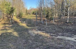 Forward, Lake City, MI 49651