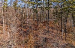 0 Old Harris Turnpike Road, South Pittsburg, TN 37380