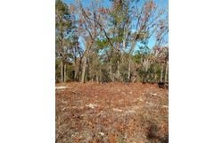 112 S EDGELINE ROAD, SATSUMA, FL 32189