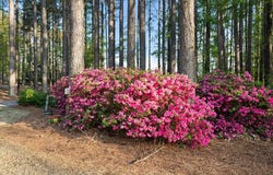 228 Compass Point, Ninety Six, SC 29666