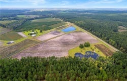 Lot 3 (51.47 Ac) Cody (Nichols, GA) Road, Other, GA 31554