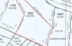 Mountain Ash, Eugene, OR 97405