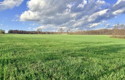 0001 FF Highway, Everton, MO 65646