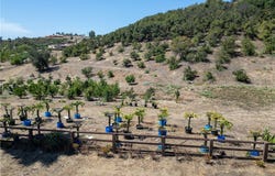 Via Vaquero, Temecula, CA 92590