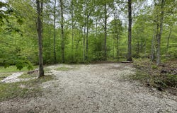 100 Buck Drive, Wellington, KY 40387