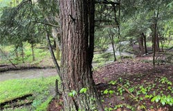 Walker Road, Bemus Point, NY 14712