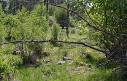 Chief Joseph WAY, Imnaha, OR 97842