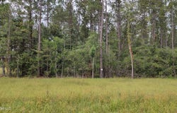 Ms-43 N, Picayune, MS 39466