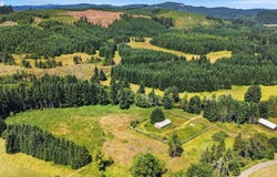 Timber Rd, Vernonia, OR 97064