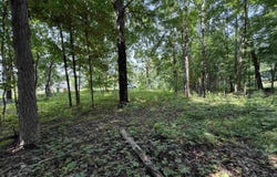 L52 Draper Street, Baraboo, WI 53913