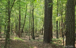 Hoke Road, Heath Springs, SC 29058