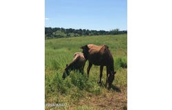 3128 Highway 82, Sonoita, AZ 85637