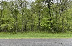 Lot 44 10th Street, Necedah, WI 54646